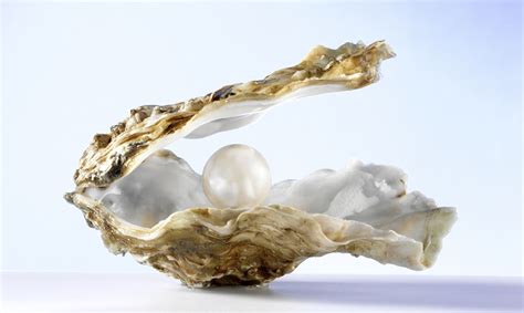 Edible Jewelry Pearl Powder And Its Beauty Boosting Benefits