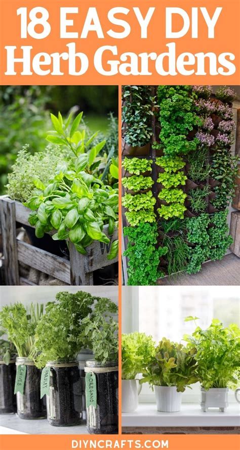 When To Plant Herbs Outside Back Gardener