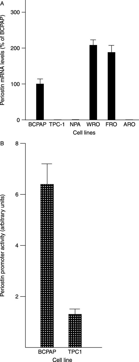 A Periostin Mrna Levels In Several Human Thyroid Cell Lines Results