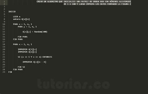 Arreglos Pseudocodigo Figura Z Matriz Tutorias Co