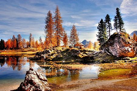 Royalty Free Photo Body Of Water Near Green Leaf Trees Landscape