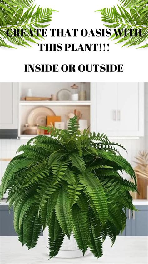 Faux Ferns For Outdoor New Uv Resistant Lifelike Artificial