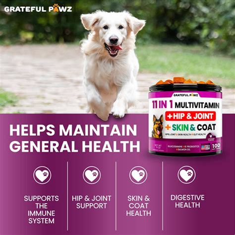 Multivitamnico Masticable Para Perros Con Glucosamina Vitam Envío gratis