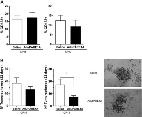 Analysis Of Pancreatic Cancer Stem Cell Features In Cp15 And Cp13