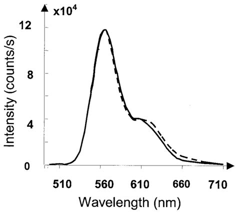 Two Cy3 dye emission spectra. Dashed curve: monochromator scan of the ...