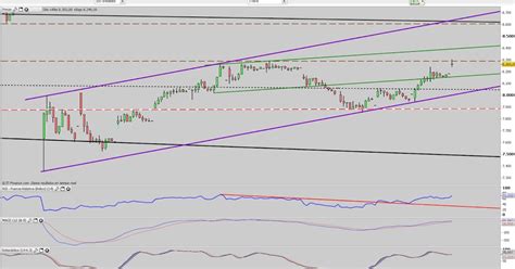 Gr Ficos De Txarly Ibex M Ibex Intra