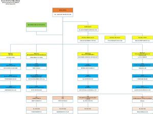 Struktur Organisasi Dinas Lingkungan Hidup Kota Malang Dinas