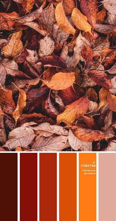 Rust Color Scheme Color Palette 35 Rust Color Schemes Orange