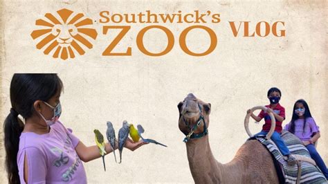 Going To Southwicks Zoo Youtube