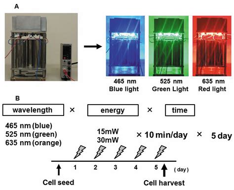 Figure Effect Of Light Irradiation By Light Emitting Diode On