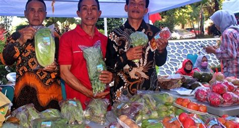 Sayur Organik Bangkit Merbabu Tembus Pasar Singapura