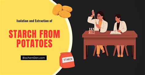 Isolation Of Starch From Potatoes A Comprehensive Guide