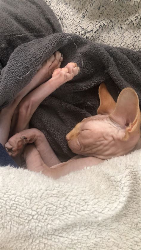 Seeing this while I’m walking out the door for work always makes me so