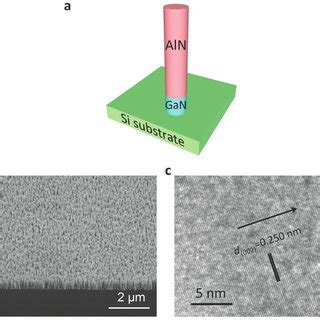 Molecular Beam Epitaxial Growth And Characterization Of AlN Nanowall