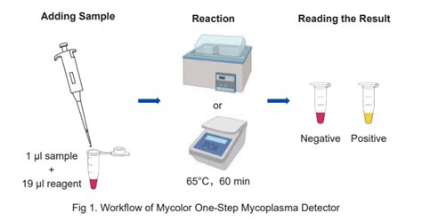 Mycolor One Step Mycoplasma Detectord