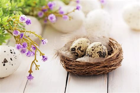 4k 5k Holidays Easter Feathers Wood Planks Eggs Nest Hd