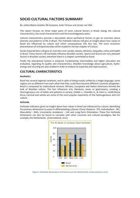 Socio Cultural Factors Summary Booming Brazil