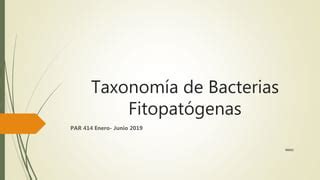 Taxonomía de Bacterias Fitopatógenas pptx