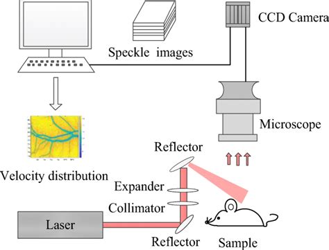 Schematic Of Laser Speckle Imaging Experimental System Download