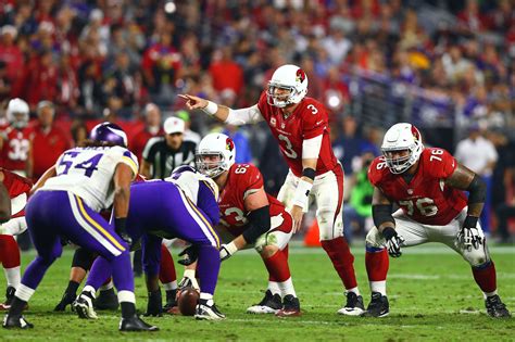 Nfl Week 11 Minnesota Vikings Vs Arizona Cardinals Daily Norseman