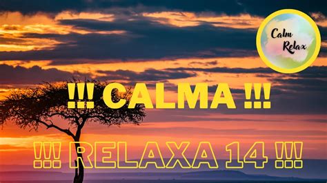 Calma Relaxa Sons Natureza M Sica Para Te Ajudar A Dormir