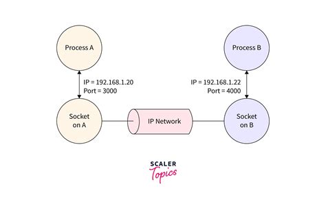 How Does Linux Use Sockets Scaler Topics