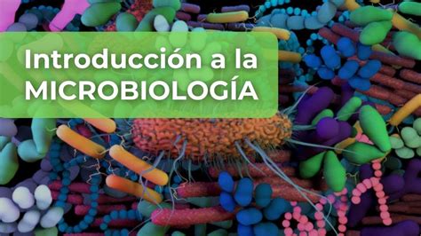 Conociendo Los Virus Bacterias Hongos Y Par Sitos Youtube