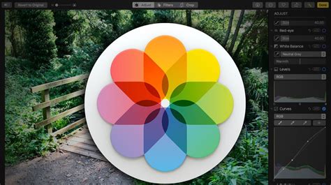 10 Tips For Mastering Apples Photos App Creative Bloq