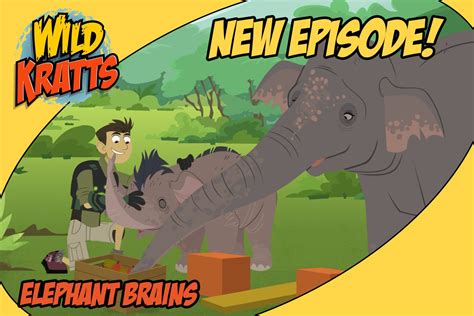 Wild Kratts African Elephant