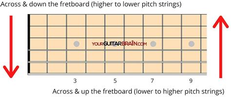 Learn The Guitar Fretboard In Just 5 Steps Aka 5 Step Memory Method