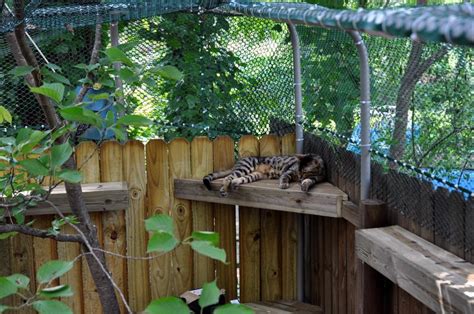 Fence Support Bracket: Cat Fencing Enclosures