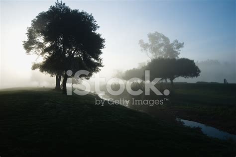 Foggy Sunrise Stock Photo | Royalty-Free | FreeImages