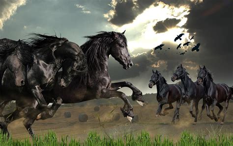 🔥 [77+] Wild Horses Wallpapers | WallpaperSafari