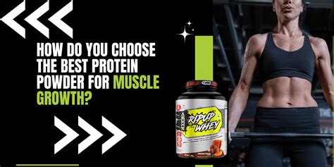 Best Protein Powder For Muscle Gain Choose With Ammolabz