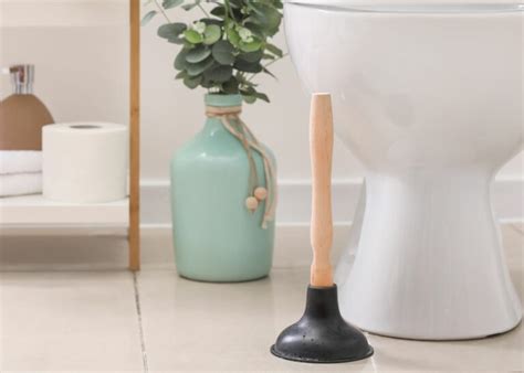 How to Clean a Toilet Plunger