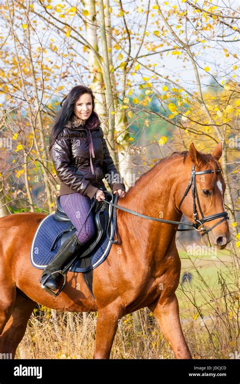 woman, horse, riding, rider, equestrian, horseriding, woman, humans ...