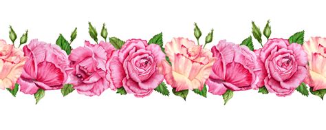 rose borders pngs