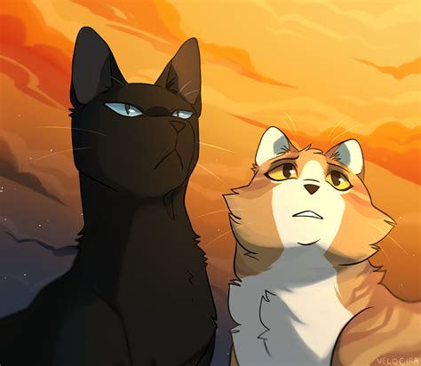 Crowfeather and Leafpool on Crowfeather-Fans - DeviantArt