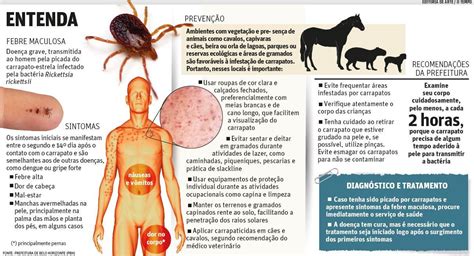 ALERTA Estado registra 14 mortes por febre maculosa neste ano Visão