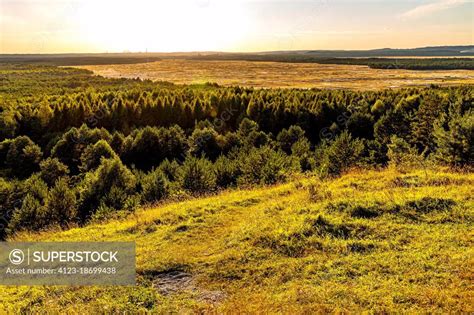 Panoramic View Of Bledowska Desert Plateau Bush Wooded And Sandy