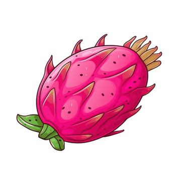 Pink Pitaya Doodle Style Pin Drawing Fruit Dragon Fruit Png