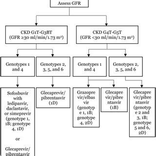 Treatment scheme for kidney transplant recipients. Recommendation ...