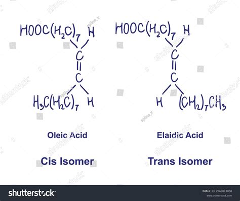 Cis And Trans Isomerism Oleic Acid With Elaidic Royalty Free Stock