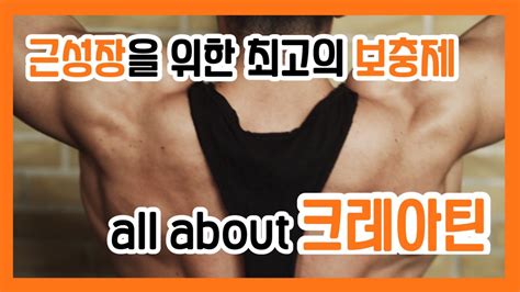 운동백과사전 근성장을 위한 최고의 보충제는💪🏼💪🏽💪🏾크레아틴에 대한 모든 것 All About 크레아틴🏋🏻‍♂️🏋🏻‍♂️