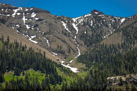 Leavitt Peak – Mountain Field Guide