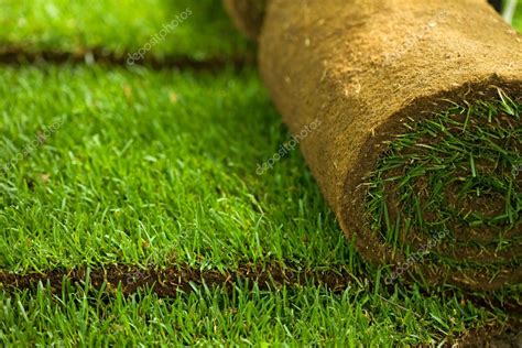 Turf grass rolls closeup — Stock Photo © lightkeeper #6408873