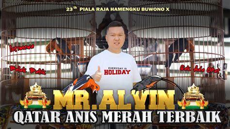 ISTIMEWA Anis Merah QATAR TERBAIK PIALA RAJA 2023 Mr Alvin