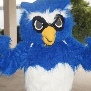 Otus the Owl | Mascot Hall of Fame