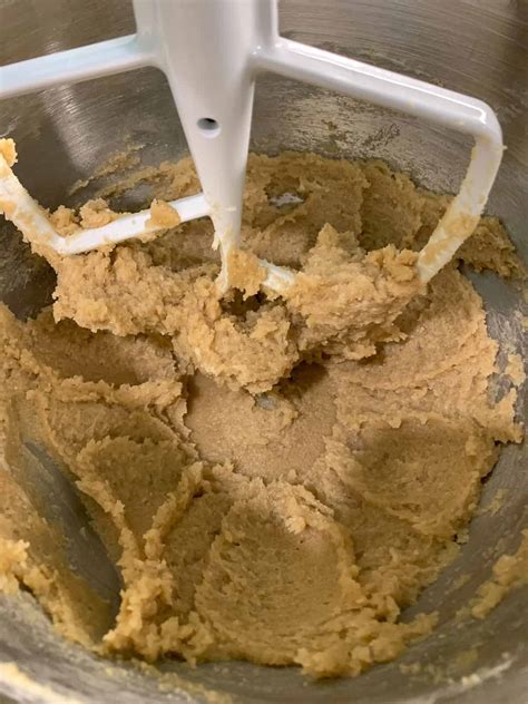 gluten free gingerbread house 2