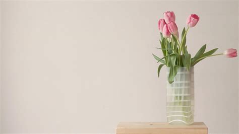 Spring Flower Minimalist Wallpapers Wallpaper Cave